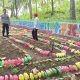 Bhabinkamtibmas Polsek Banggae Aktif Pantau Kebun PKK, Dukung Ketahanan Pangan di Desa Buttu Baruga