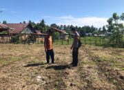 Pantau Jagung Usai Masa Tanam, Bhabinkamtibmas Polsek Sendana Ajak Petani Dukung Stok Pangan Nasional