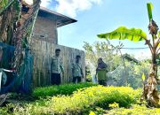 Bhabinkamtibmas Polsek Banggae Pantau Budidaya Kangkung Warga, Perkuat Ketahanan Pangan di Pangale