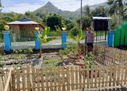 Bhabinkamtibmas Polsek Pamboang Pantau Lahan P2L, Pare dan Kangkung Jadi Penopang Ketahanan Pangan Desa