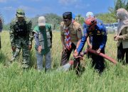Polres Barru Inisiasi Kolaborasi Salurkan Bantuan Air untuk Sawah Terdampak Kekeringan
