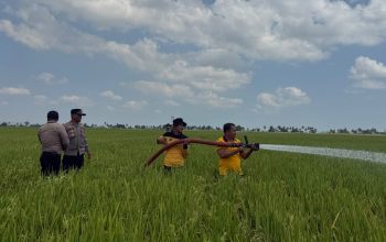 Sawah Warga Kekeringan, Polres Sidrap Turunkan Water Cannon Selamatkan Tanaman Padi