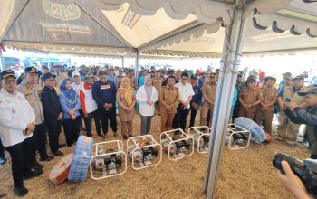 Panen Raya di Sidrap, Wakil Gubernur Sulsel Puji Terobosan Kapolres Aliri Sawah Warga di Musim Kemarau