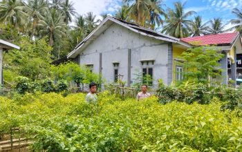 Bhabinkamtibmas Polsek Banggae Pantau Perkembangan Tanaman Cabai Rawit KWT Delima