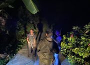UKL Polres Luwu Hadir di Walmas, Cegah Potensi Perang Kelompok dengan Pendekatan Humanis