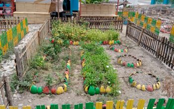 Pantau Kebun Sayur Kantor Desa Adolang, Bhabinkamtibmas Polsek Pamboang Ajak Warga Manfaatkan Lahan Pekarangan Untuk Ketahanan Pangan
