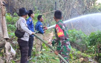 Kebakaran Lahan di Puawang Meluas, Polsek Banggae, TNI dan Damkar Padamkan Api hingga Sore