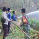 Kebakaran Lahan di Puawang Meluas, Polsek Banggae, TNI dan Damkar Padamkan Api hingga Sore