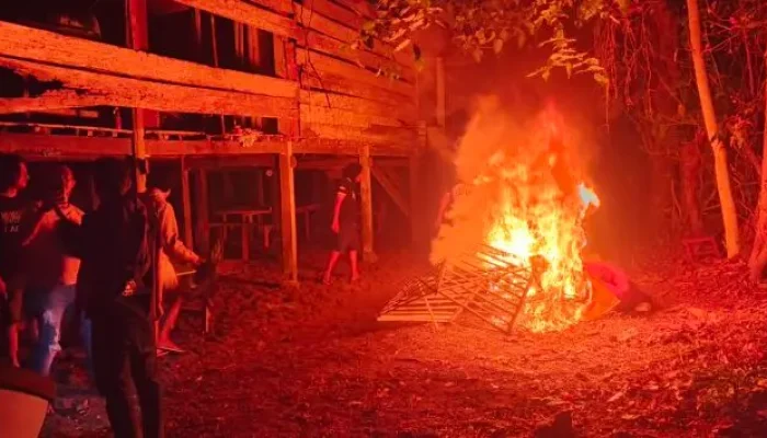 Tidak Ada Ampun! Polisi Gerebek Arena Sabung Ayam di Bone, Sejumlah Arena Dibongkar dan Dibakar
